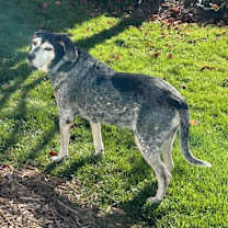 Thumbnail photo of Happy #3