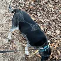 Thumbnail photo of Happy #4