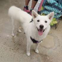 Thumbnail photo of Stormie #1