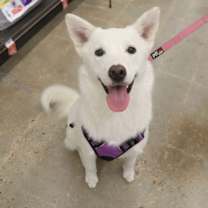 Thumbnail photo of Stormie #2