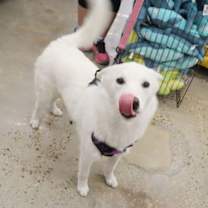 Thumbnail photo of Stormie #4