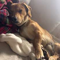 Thumbnail photo of Monty #1