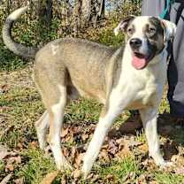 Thumbnail photo of sam #4