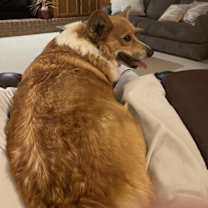 Thumbnail photo of Marty #3