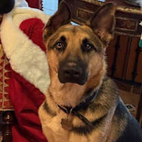 Thumbnail photo of Henri (New Digs) #1