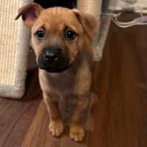 Thumbnail photo of Sunny #3