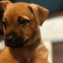 Thumbnail photo of Sunny #4