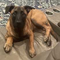 Thumbnail photo of Masher #1