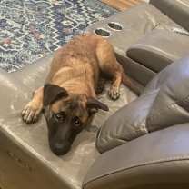 Thumbnail photo of Masher #2