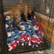 Thumbnail photo of Masher #3