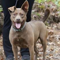 Thumbnail photo of Halle #2