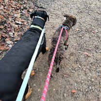 Thumbnail photo of Fuji #3