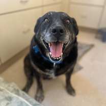 Thumbnail photo of Dolores #1