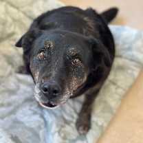 Thumbnail photo of Dolores #2