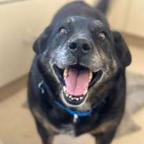 Thumbnail photo of Dolores #3