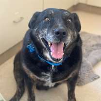 Thumbnail photo of Dolores #4