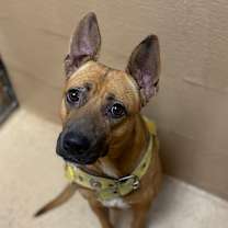 Thumbnail photo of Lola #1