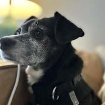 Thumbnail photo of Eleanor #3