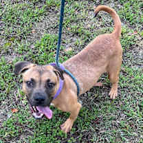 Thumbnail photo of Titus #1