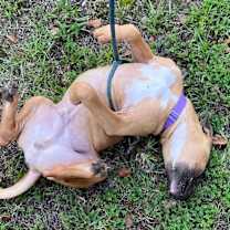 Thumbnail photo of Titus #2