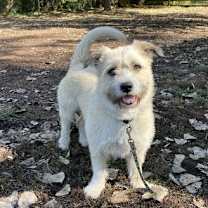 Thumbnail photo of Herbert #1