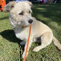 Thumbnail photo of Herbert #2