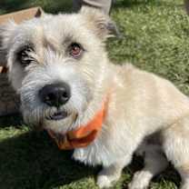 Thumbnail photo of Herbert #3