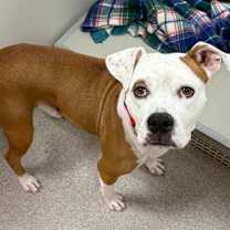 Thumbnail photo of Evelyn #2