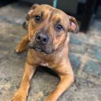 Thumbnail photo of Roger #1