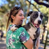 Thumbnail photo of Pollyanna #1