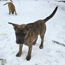 Thumbnail photo of Loretta #3