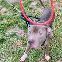 Thumbnail photo of Stuffin #1