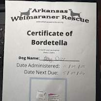 Thumbnail photo of Dolce #2