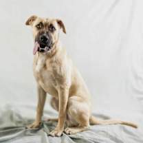 Thumbnail photo of Hopper #3