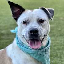 Thumbnail photo of Jojo #1