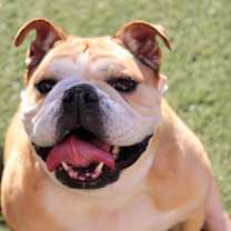 Thumbnail photo of Roxy #2