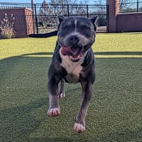 Thumbnail photo of Naomi #2