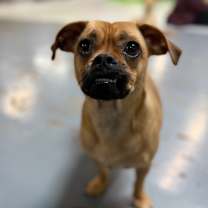 Thumbnail photo of Angie #3