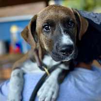 Thumbnail photo of Cinna Bun #2