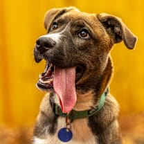 Thumbnail photo of Cinna Bun #3