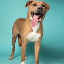 Thumbnail photo of Taps #4