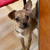 Thumbnail photo of Sweetheart #2