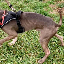 Thumbnail photo of Stuffin #2