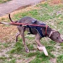 Thumbnail photo of Stuffin #3