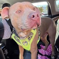 Thumbnail photo of CHARLES(chuck) #2