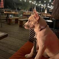 Thumbnail photo of Sky #4