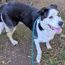 Thumbnail photo of Athena #2