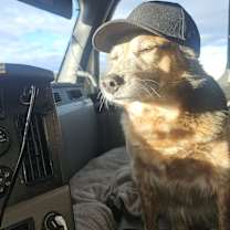 Thumbnail photo of Jax #1