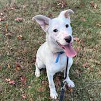 Thumbnail photo of Tillie #2