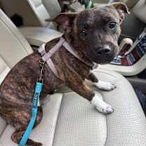 Thumbnail photo of Bradley #1